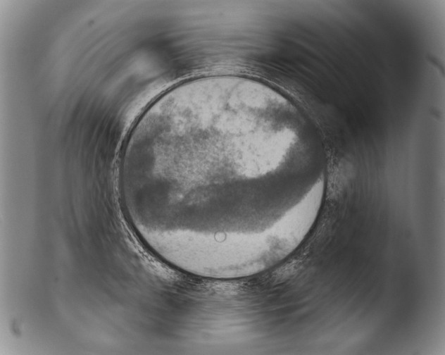 X0000103951086200810311543