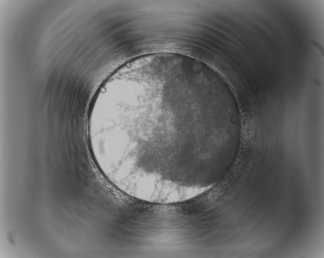 X0000103951088200810311543