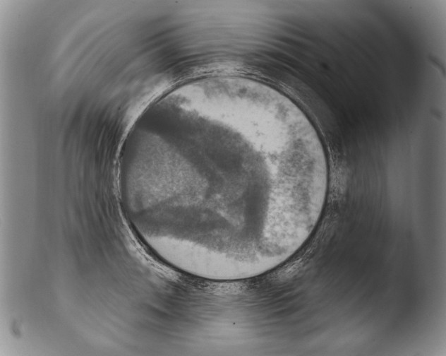 X0000103951090200810311543