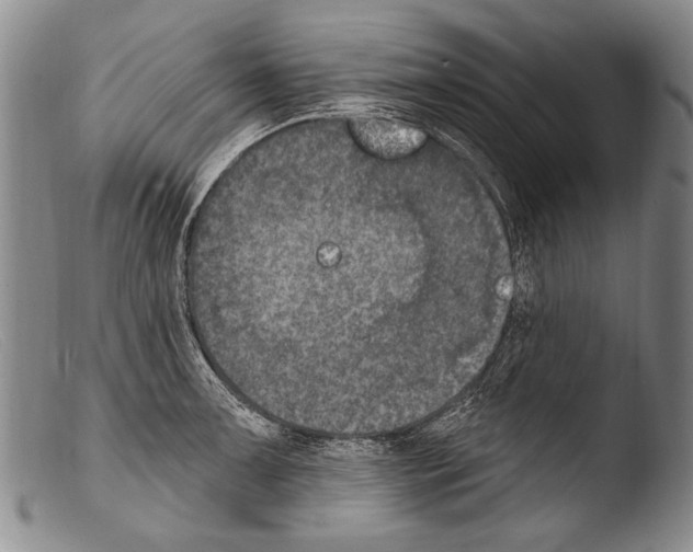 X0000103951091200810311543