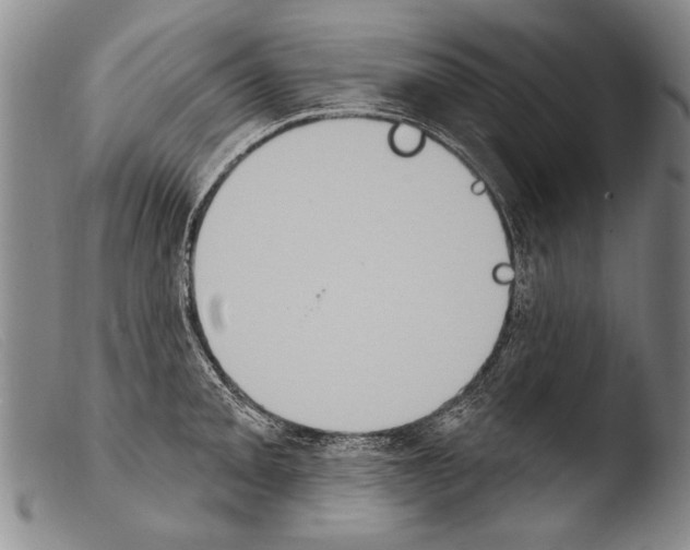 X0000103951093200810311543