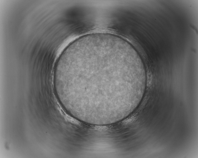 X0000103951094200810311543