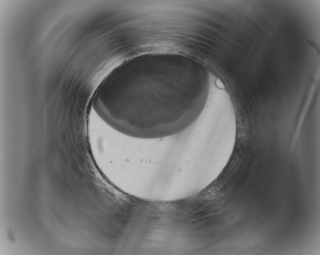 X0000103951095200810311543