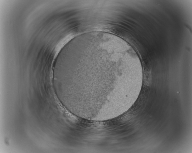 X0000103951096200810311543