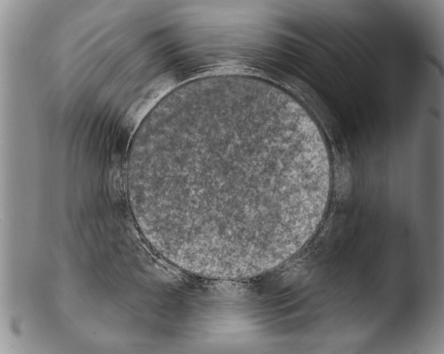 X0000103951097200810311543