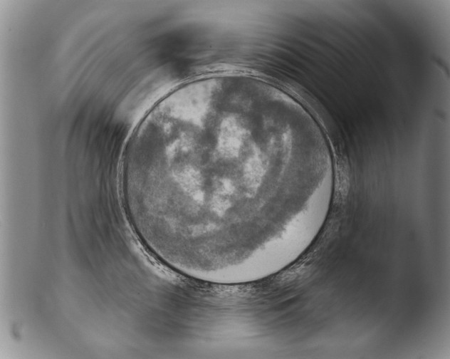 X0000103951098200810311543