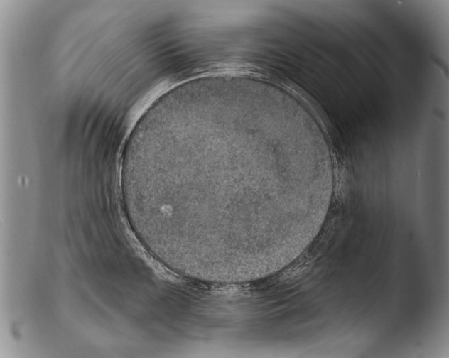X0000103951099200810311543