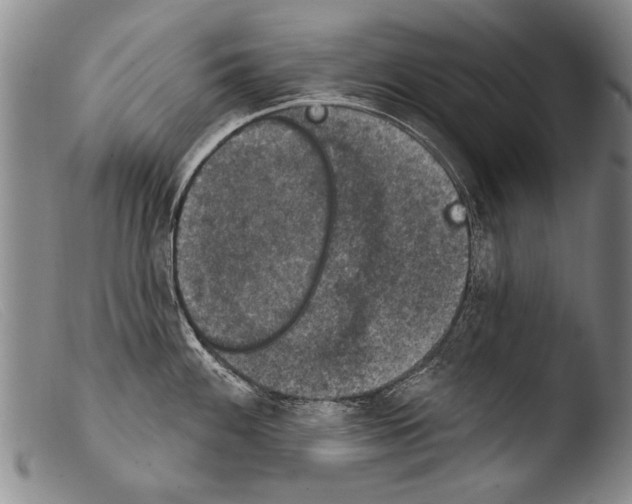 X0000103951100200810311543