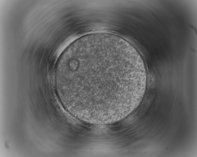 X0000103951101200810311543