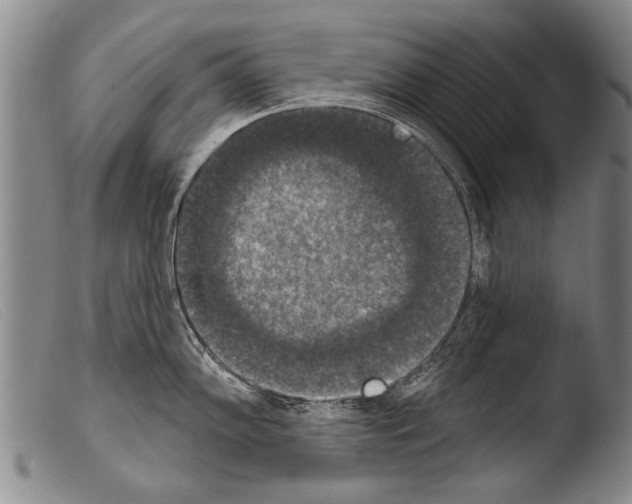 X0000103951102200810311543