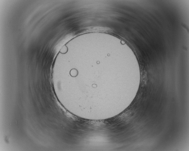 X0000103951103200810311543