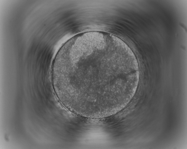 X0000103951104200810311543