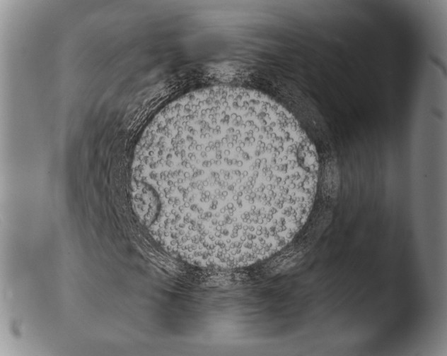 X0000103951105200810311542