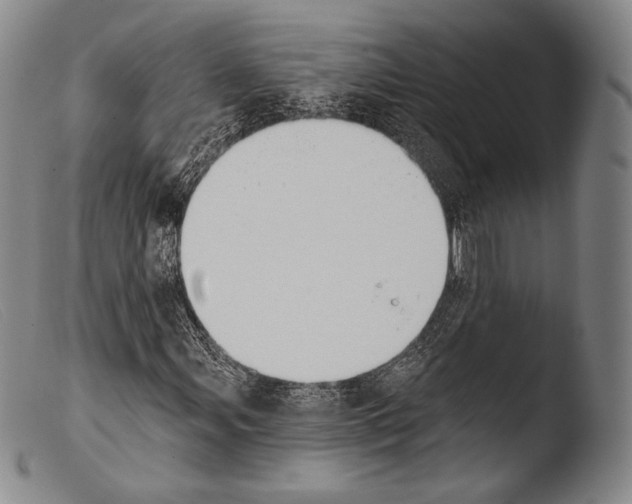 X0000103951107200810311542