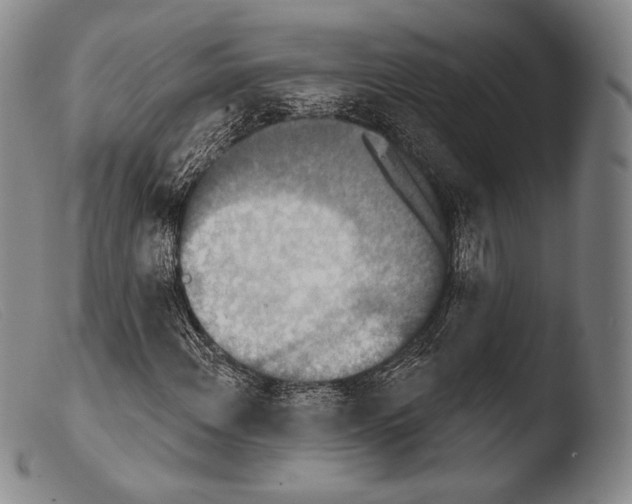X0000103951108200810311542