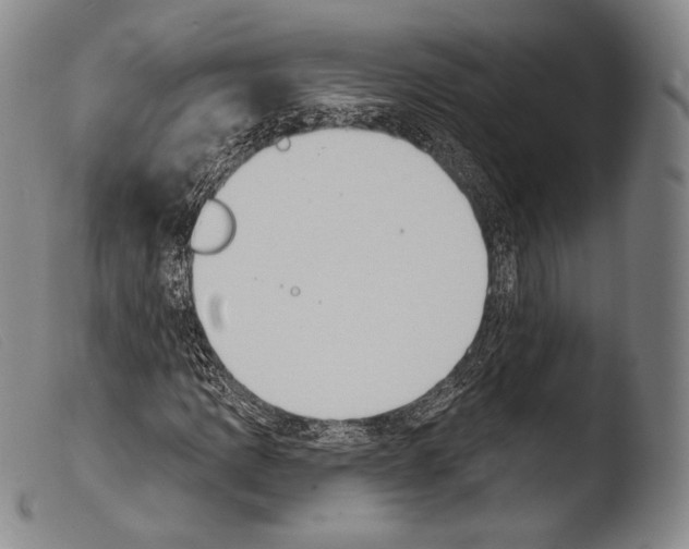 X0000103951109200810311542