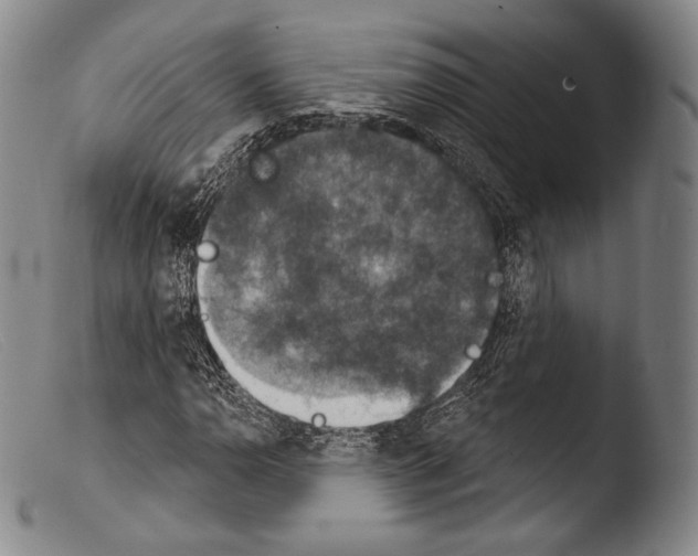 X0000103951110200810311542