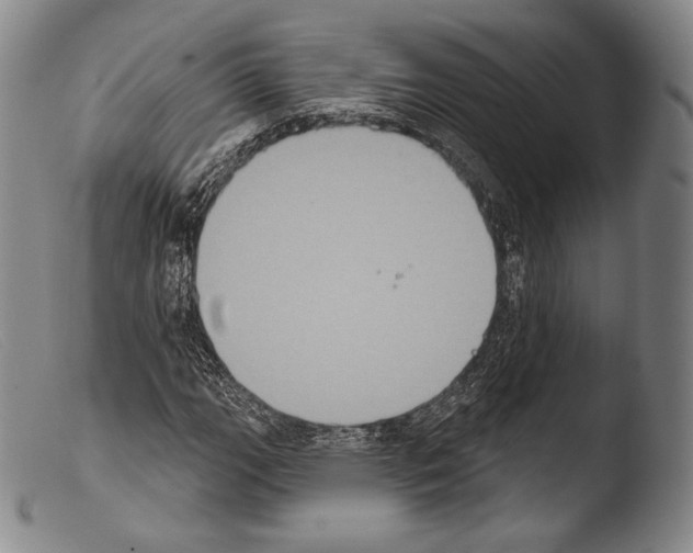 X0000103951111200810311542