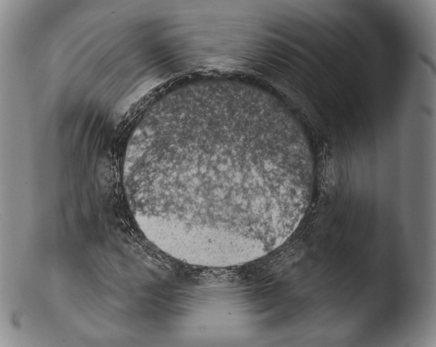 X0000103951112200810311542