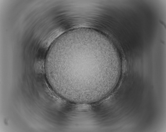 X0000103951113200810311542