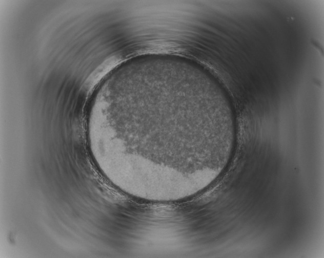X0000103951114200810311542