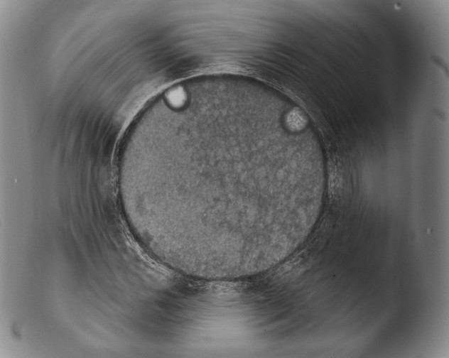 X0000103951116200810311542