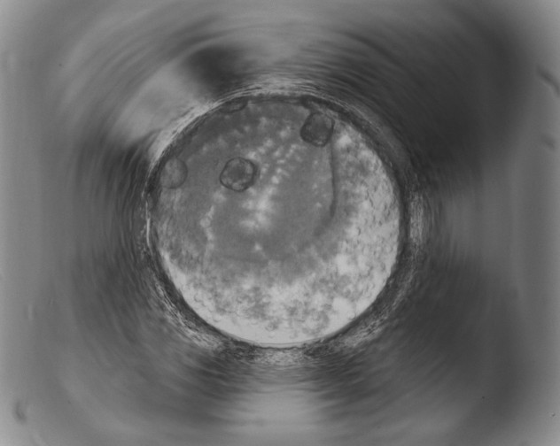 X0000103951117200810311542