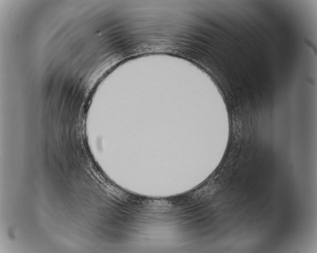 X0000103951119200810311542