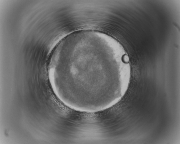 X0000103951120200810311542