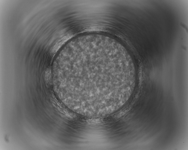 X0000103951121200810311542