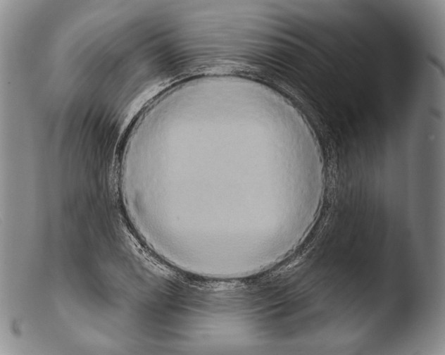 X0000103951122200810311542