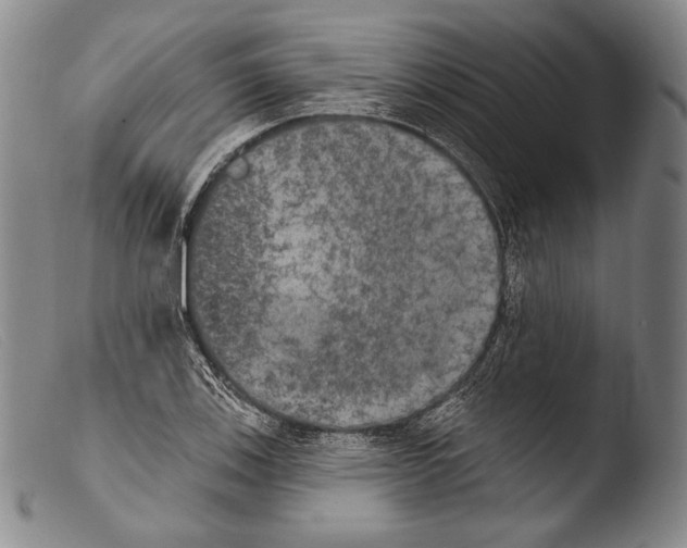 X0000103951123200810311543