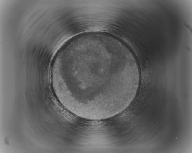 X0000103951124200810311543