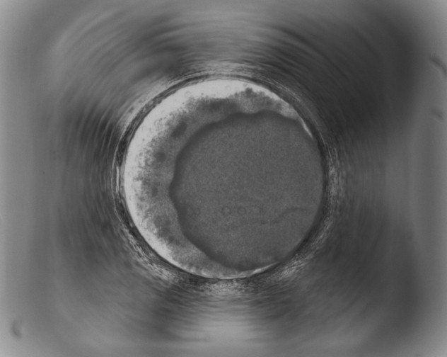 X0000103951125200810311543