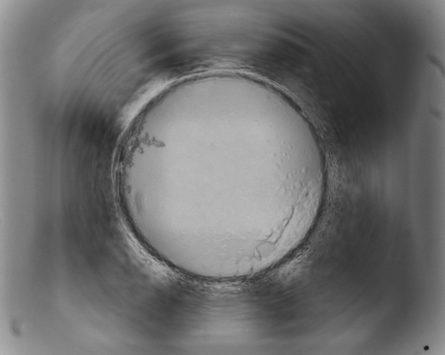 X0000103951126200810311543
