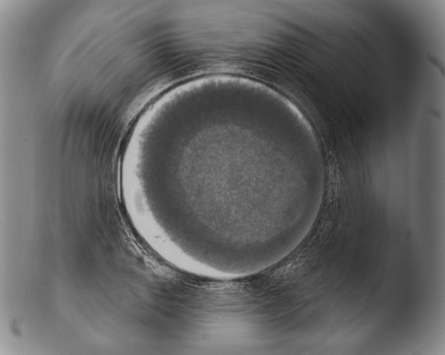 X0000103951127200810311543