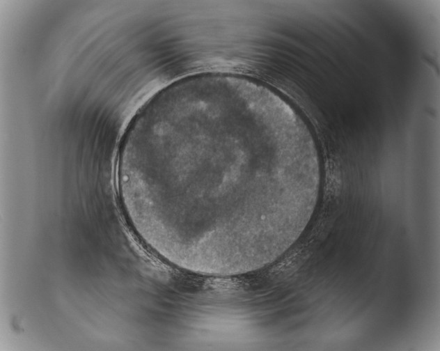 X0000103951128200810311543