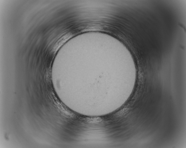 X0000103951129200810311543