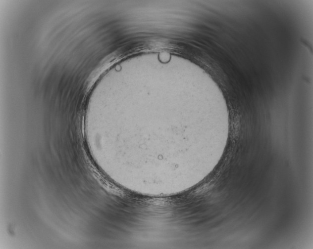 X0000103951130200810311543