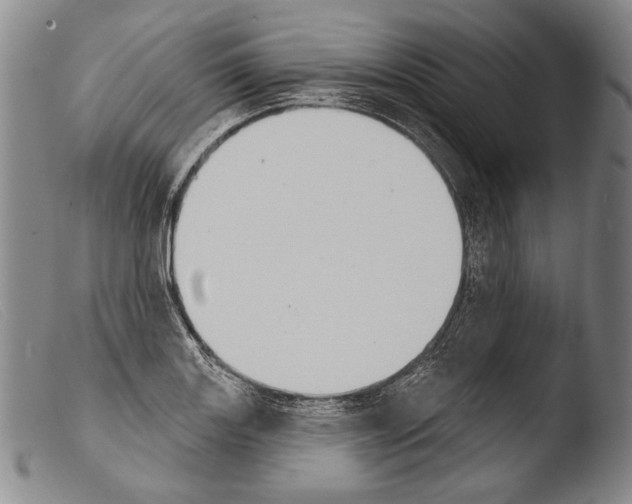 X0000103951131200810311543