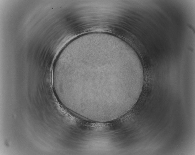 X0000103951132200810311543