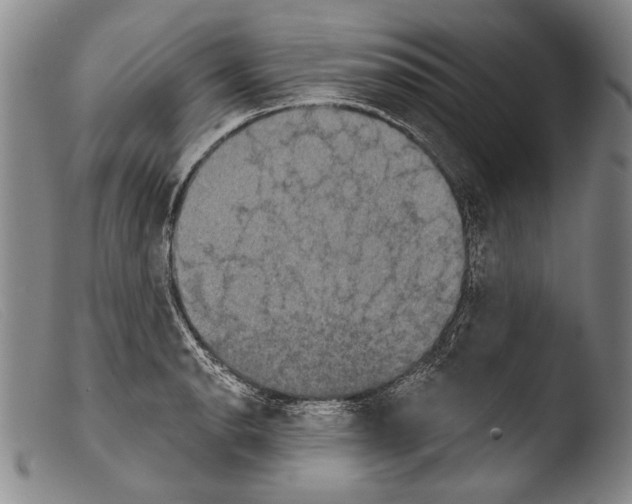 X0000103951134200810311543