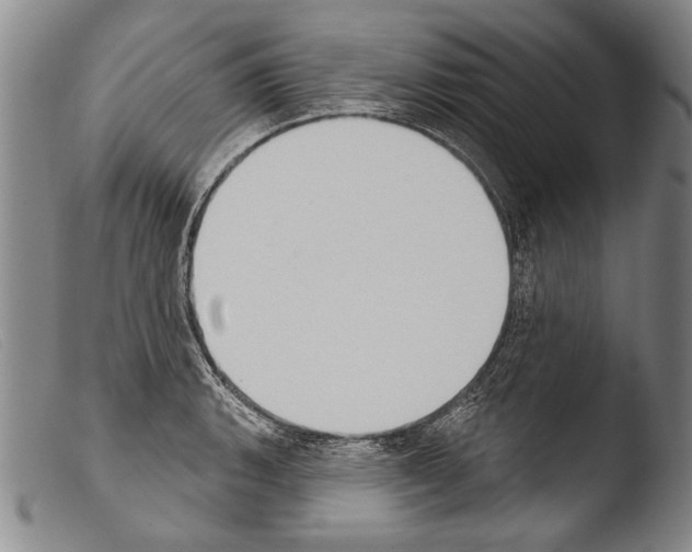 X0000103951135200810311543