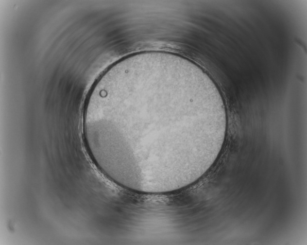 X0000103951136200810311543