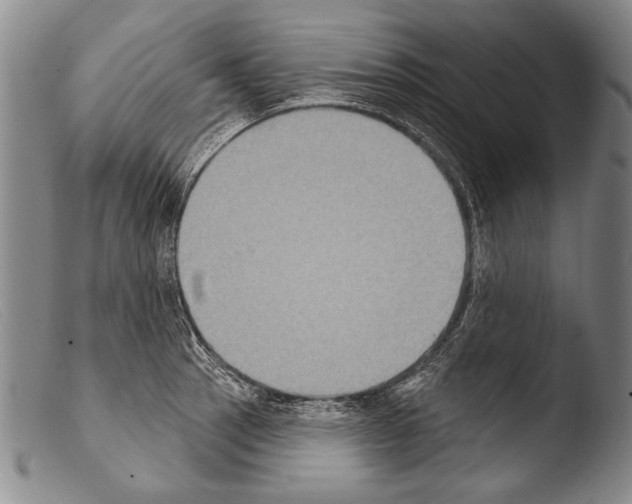 X0000103951137200810311543