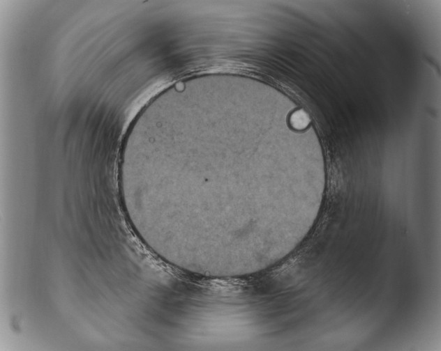 X0000103951138200810311543