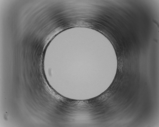X0000103951139200810311543