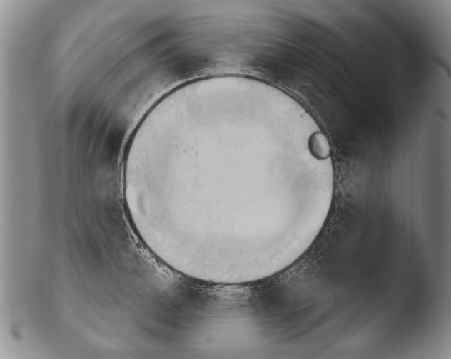 X0000103951140200810311543