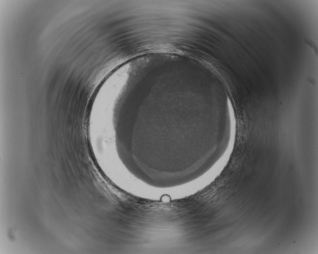 X0000103951141200810311543