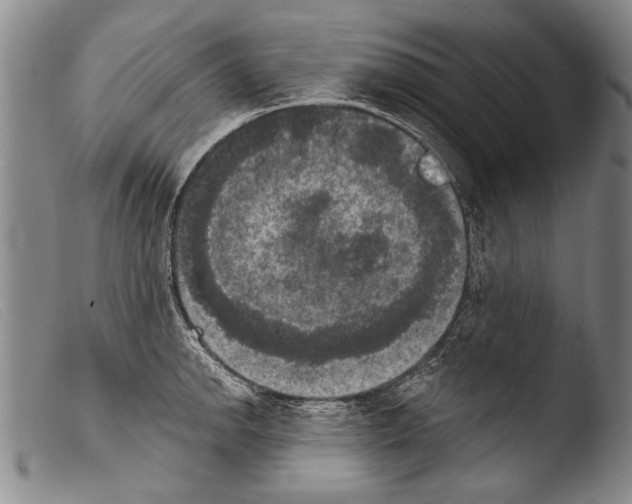 X0000103951142200810311543